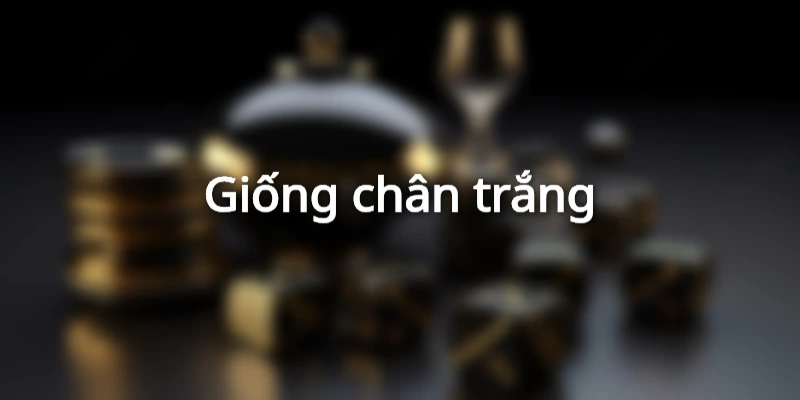 Các dòng “bạch công tử” được ưa chuộng tại ST666