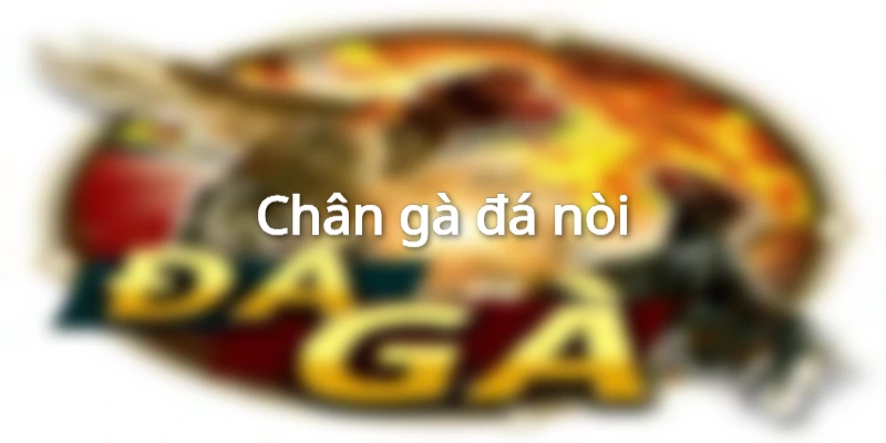 Chân gà đá nòi