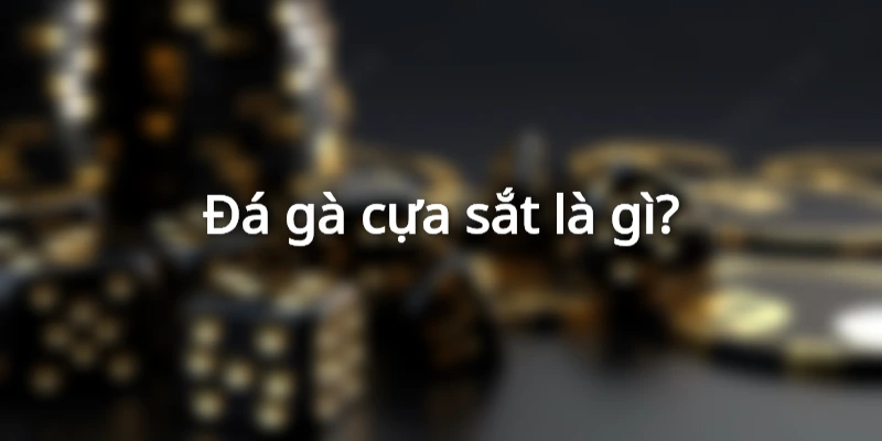 Đá gà cựa sắt là gì?