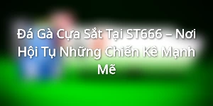 Đá Gà Cựa Sắt Tại ST666 – Nơi Hội Tụ Những Chiến Kê Mạnh Mẽ