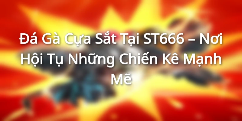 Đá Gà Cựa Sắt Tại ST666 – Nơi Hội Tụ Những Chiến Kê Mạnh Mẽ