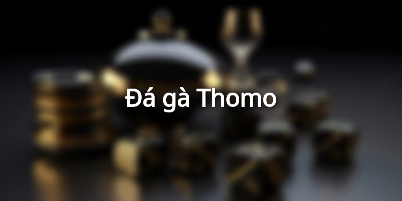 Đá gà Thomo