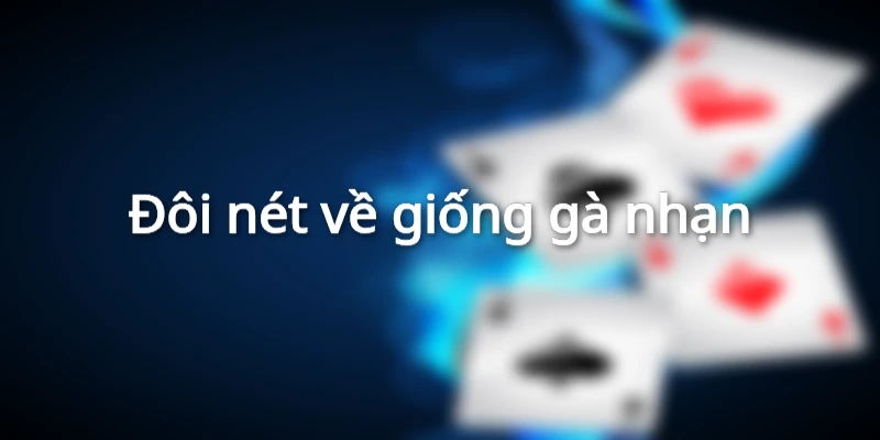 Giới thiệu đôi nét về giống gà nhạn
