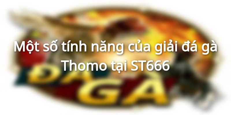 Một số tính năng của giải đá gà Thomo tại ST666 Một số tính năng của giải đá gà Thomo tại ST666