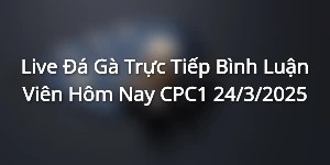 Live Đá Gà Trực Tiếp Bình Luận Viên Hôm Nay CPC1 24/3/2025