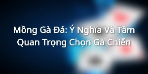 Mồng Gà Đá: Ý Nghĩa Và Tầm Quan Trọng Chọn Gà Chiến