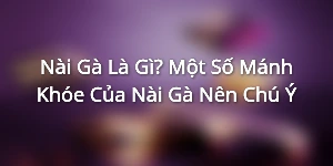 Nài Gà Là Gì? Một Số Mánh Khóe Của Nài Gà Nên Chú Ý