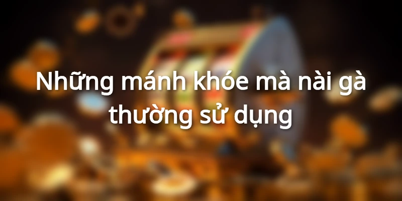Những mánh khóe mà nài gà thường sử dụng