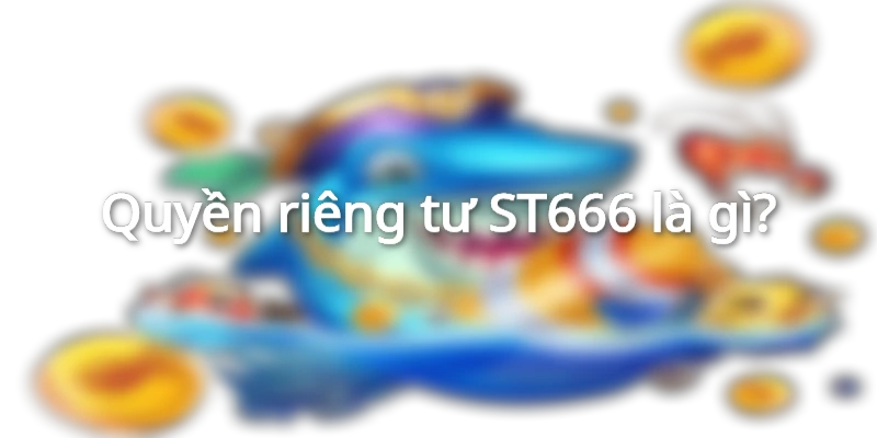 Quyền riêng tư ST666 là gì?