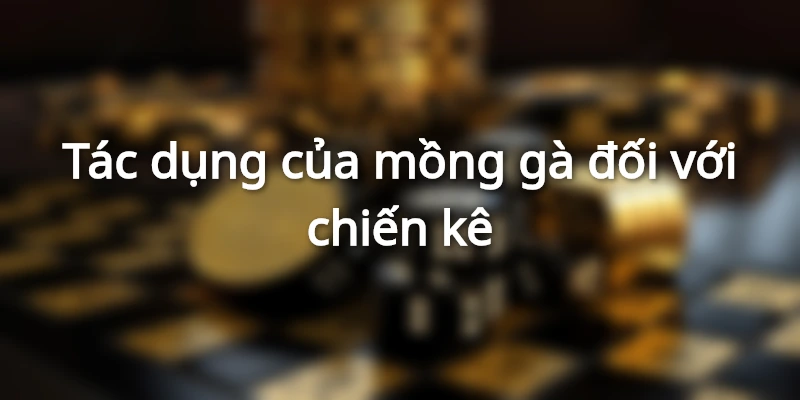 Tác dụng của mồng gà đối với chiến kê Tác dụng của mồng gà đối với chiến kê