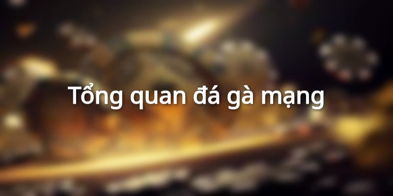 Đá gà mạng là gì?