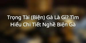 Trọng Tài (Biện) Gà Là Gì? Tìm Hiểu Chi Tiết Nghề Biện Gà