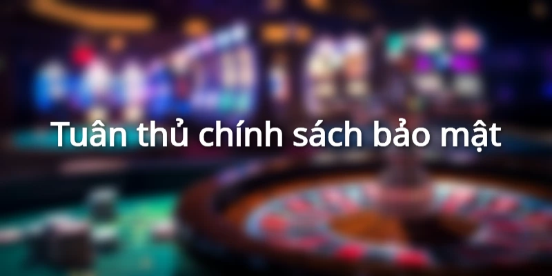 Vai trò của người dùng trong chính sách bảo mật ST666