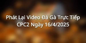 Phát Lại Video Đá Gà Trực Tiếp CPC2 Ngày 16/4/2025