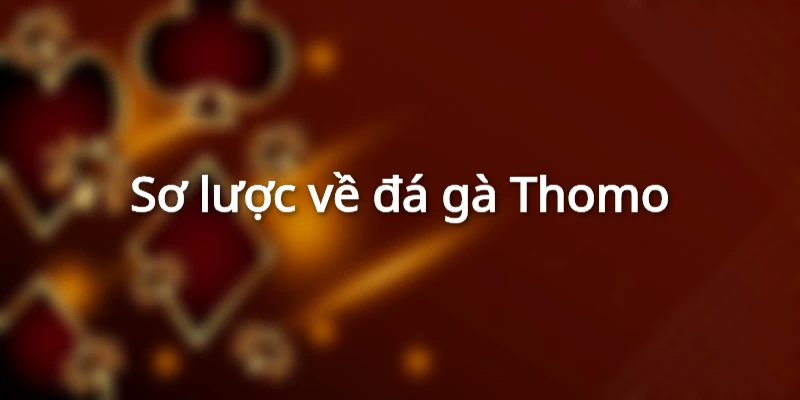 Sơ lược về đá gà Thomo
