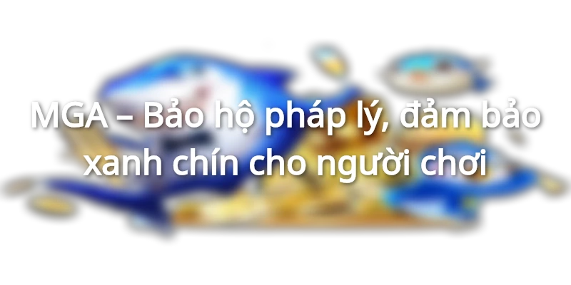 Danh mục giấy phép hoạt động ST666 hiện có