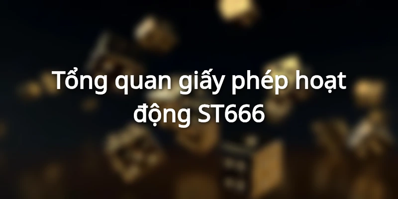 Khám phá căn bản về giấy phép hoạt động ST666