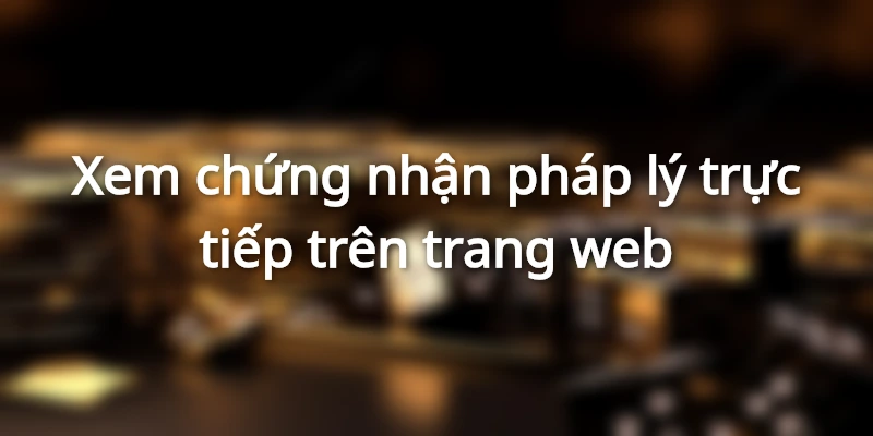 Kiểm chứng hợp pháp của giấy phép hoạt động ST666